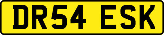 DR54ESK
