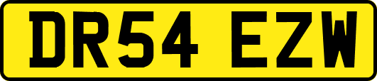 DR54EZW