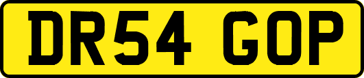 DR54GOP