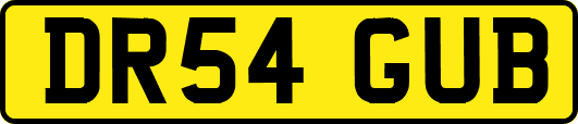 DR54GUB