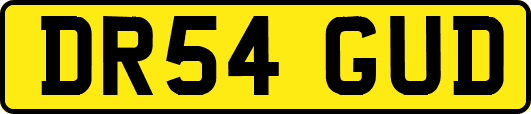 DR54GUD