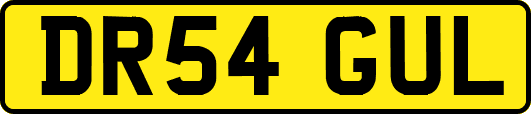 DR54GUL