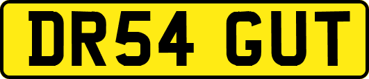 DR54GUT