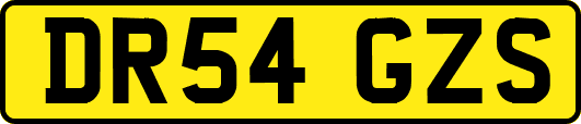 DR54GZS