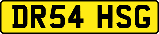 DR54HSG