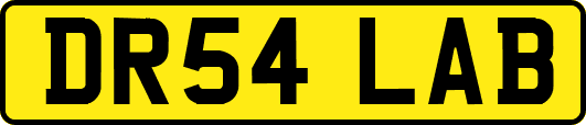 DR54LAB