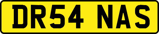 DR54NAS