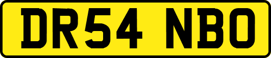 DR54NBO