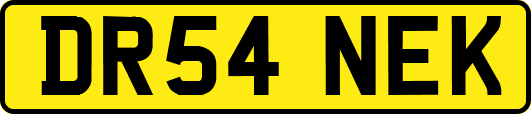 DR54NEK