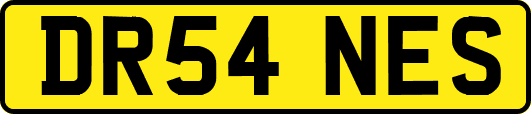 DR54NES