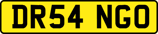 DR54NGO