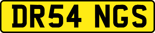 DR54NGS