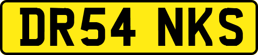 DR54NKS