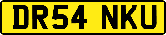 DR54NKU