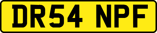 DR54NPF
