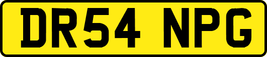DR54NPG