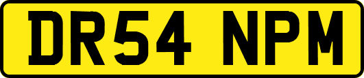 DR54NPM