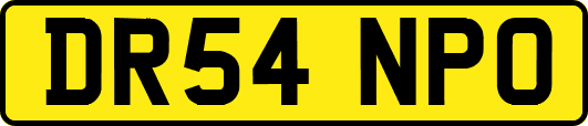 DR54NPO