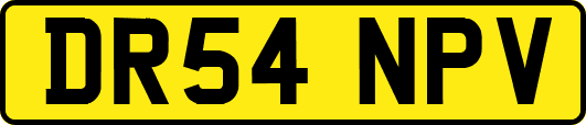 DR54NPV