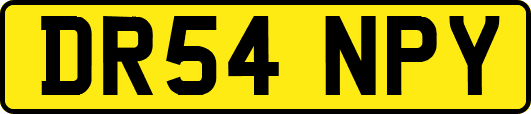 DR54NPY