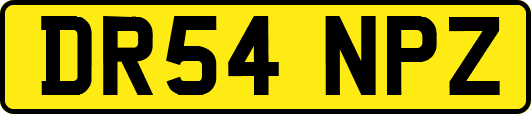 DR54NPZ