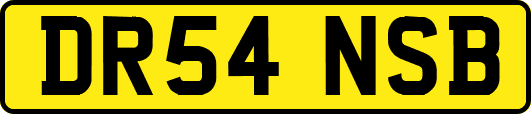 DR54NSB
