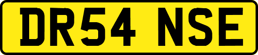 DR54NSE