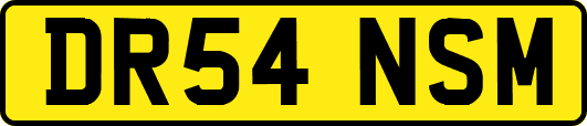 DR54NSM