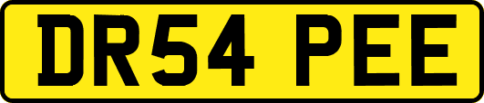 DR54PEE