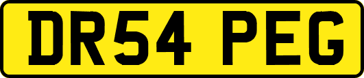DR54PEG
