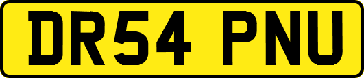 DR54PNU