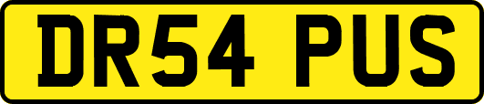 DR54PUS