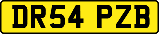 DR54PZB