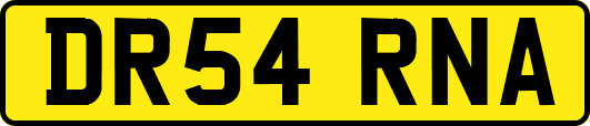 DR54RNA