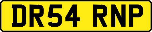 DR54RNP