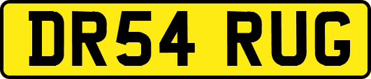 DR54RUG