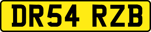 DR54RZB