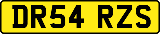 DR54RZS