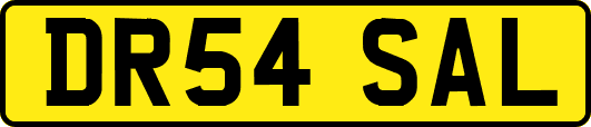 DR54SAL