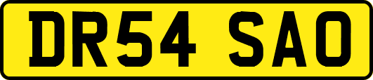 DR54SAO