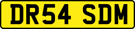 DR54SDM