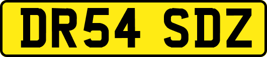 DR54SDZ