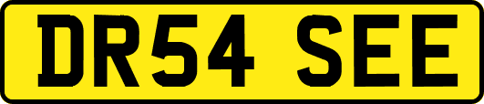 DR54SEE