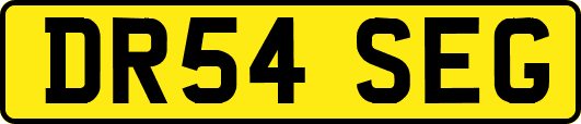 DR54SEG