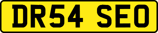 DR54SEO