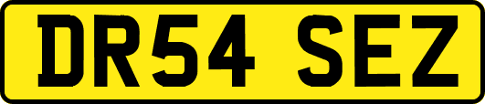 DR54SEZ