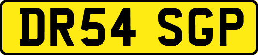 DR54SGP