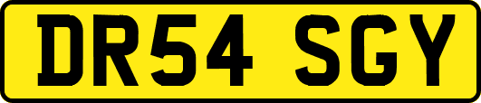 DR54SGY