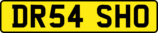 DR54SHO