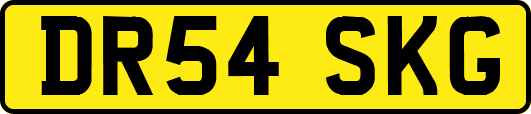 DR54SKG